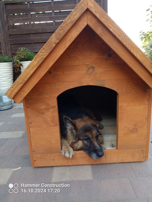 Buda dla psa ocieplana solidna