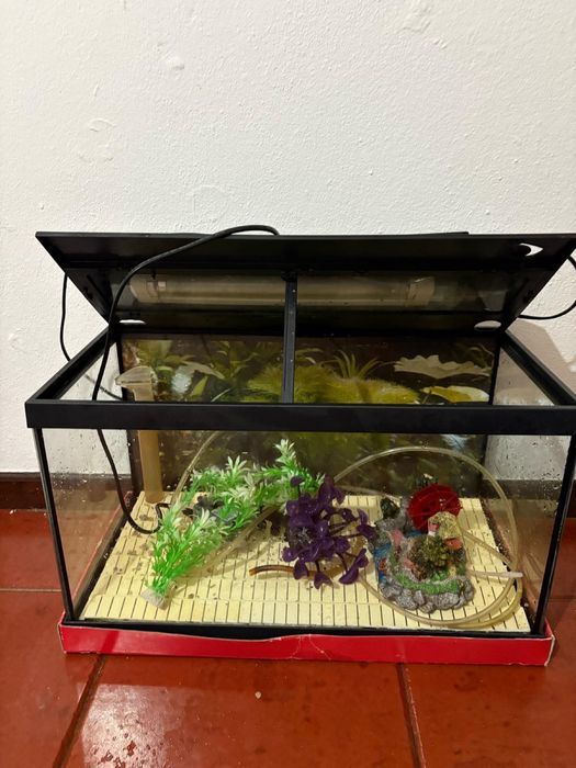 Aquario 40 litros