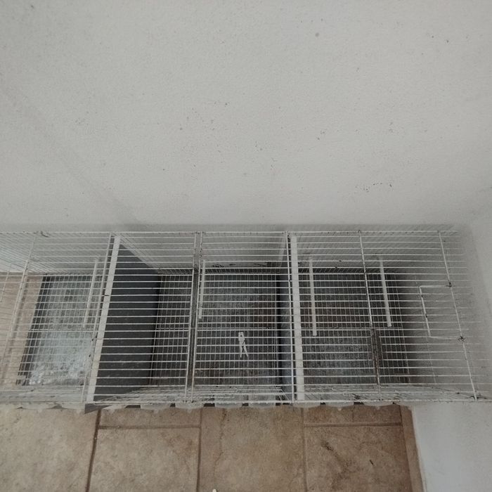 Gaiola com 1,20 MT x 0,40