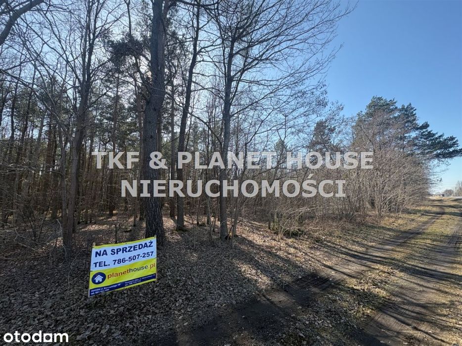 Działka leśna 1.12ha Owadów, Sławno