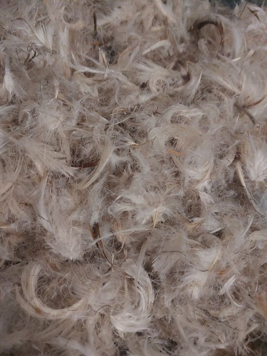 Пух перо гусиное на вес