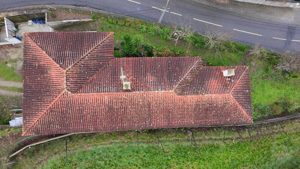 Limpeza de telhados, passeios e muros.