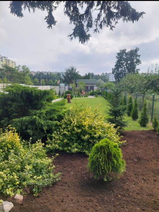 Dzialka ROD centrum Nowa cena ! Do negocjacji dla zdecydowanych !