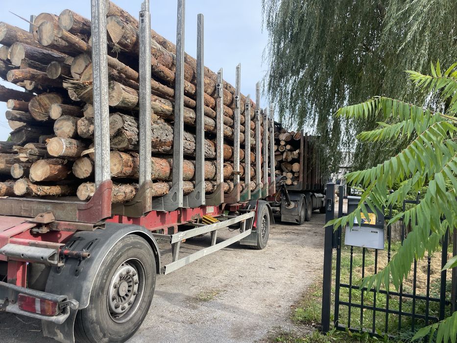 Drewno grab dąb brzoza czeresnia sosna w metrach metry . Kłoda