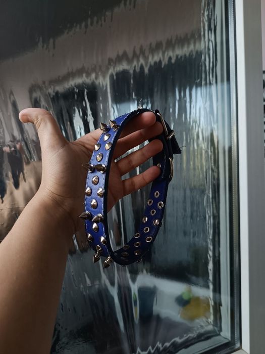 Ошейник для собаки