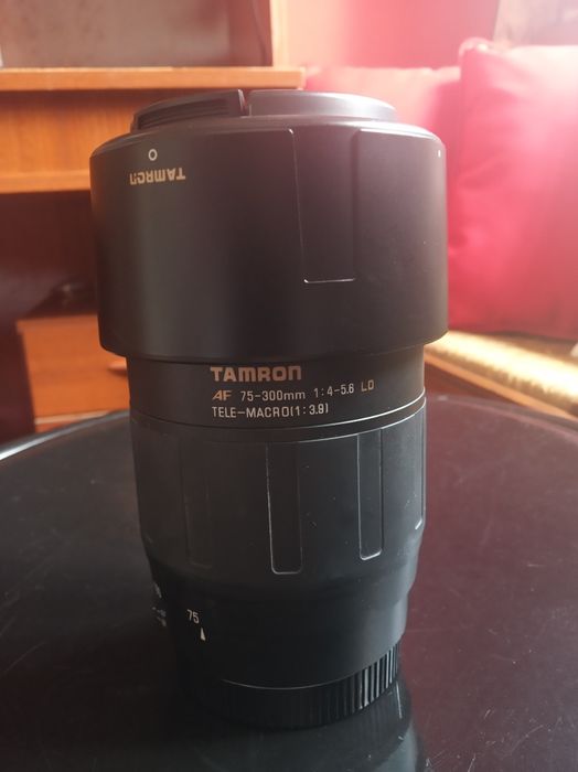 Canon Analog Camera + Lens64740810789379124