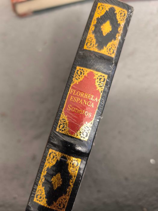 Sonetos – Florbela Espanca (poesia clássica portuguesa)