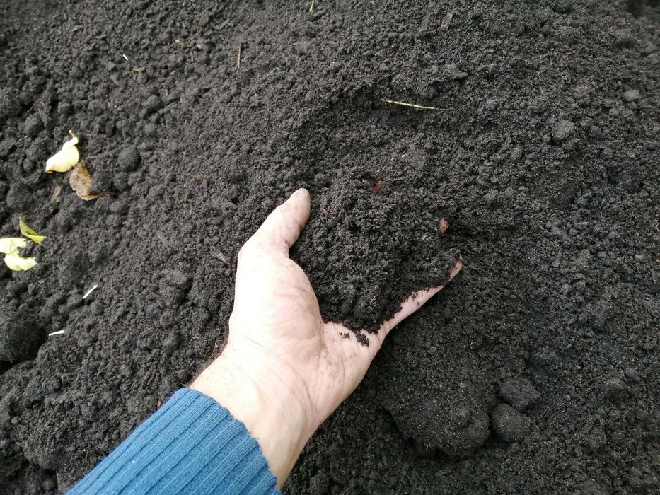 Чорнозем Київ Чорнозем у мішках Чудова якість Бучанський район