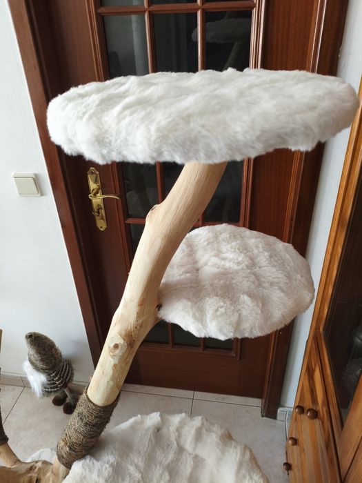 Torre de gatos com tronco em madeira - NOVO