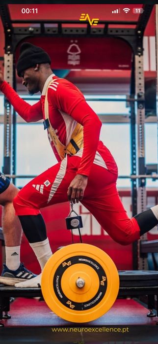 Squat basic NE performance