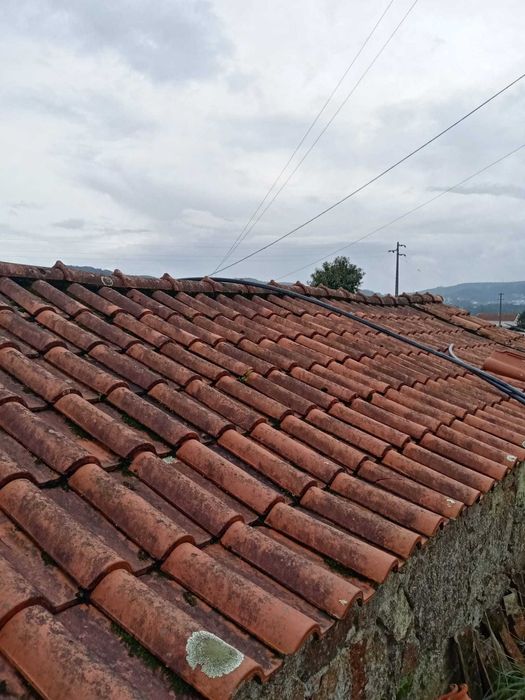 Telha Juncal - J. Coelho da Silva 20564176764219267124