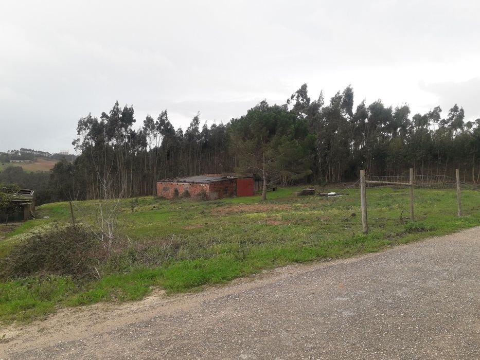 Terno com armazém em ruína