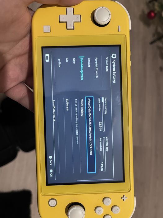 Nintendo switch lite