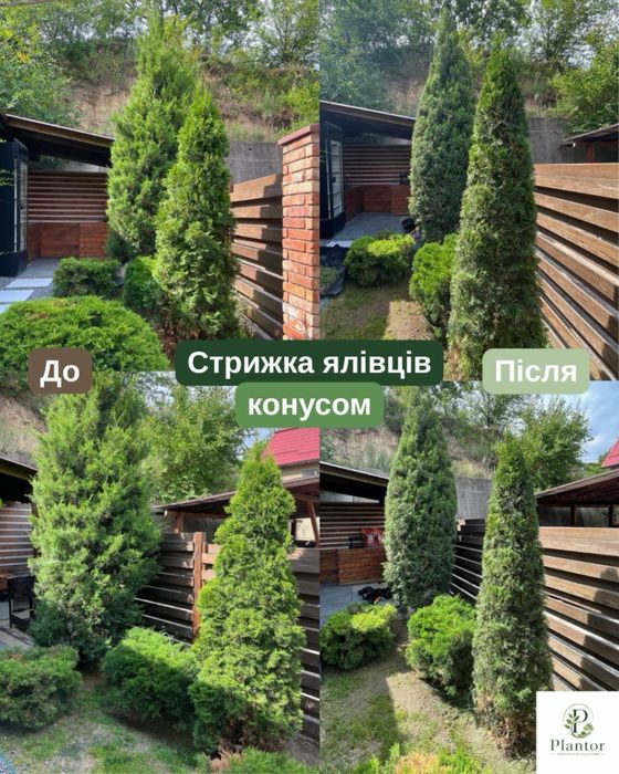 Садівник у Дніпрі | Догляд за садом та ділянкою | Досвід 8 років