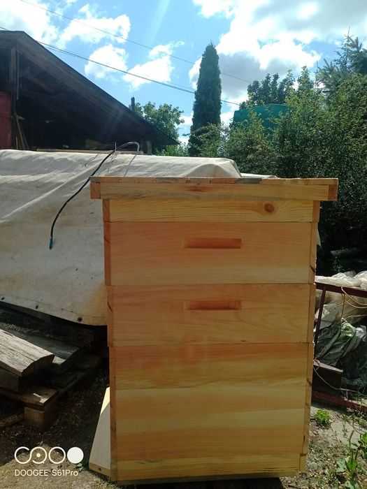 Вулик Дадан, Рута