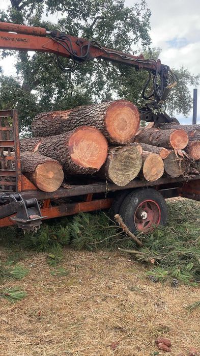 limpeza de terreno