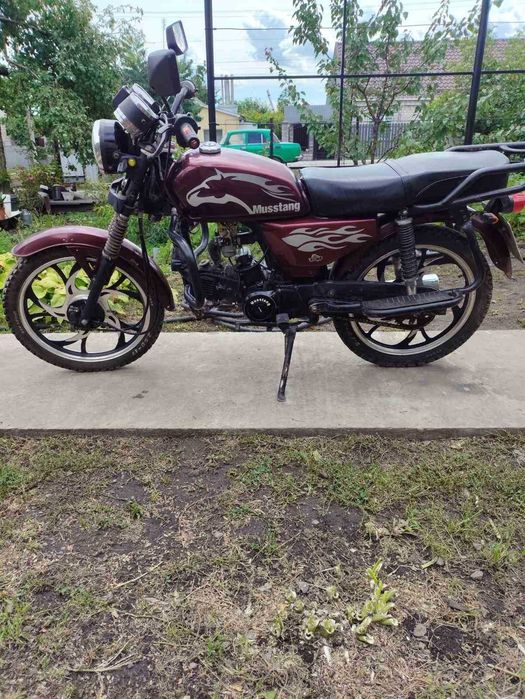 Alpha Musstang 110