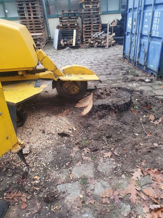 Wycinka Drzew Usuwanie Karp Podnośnik