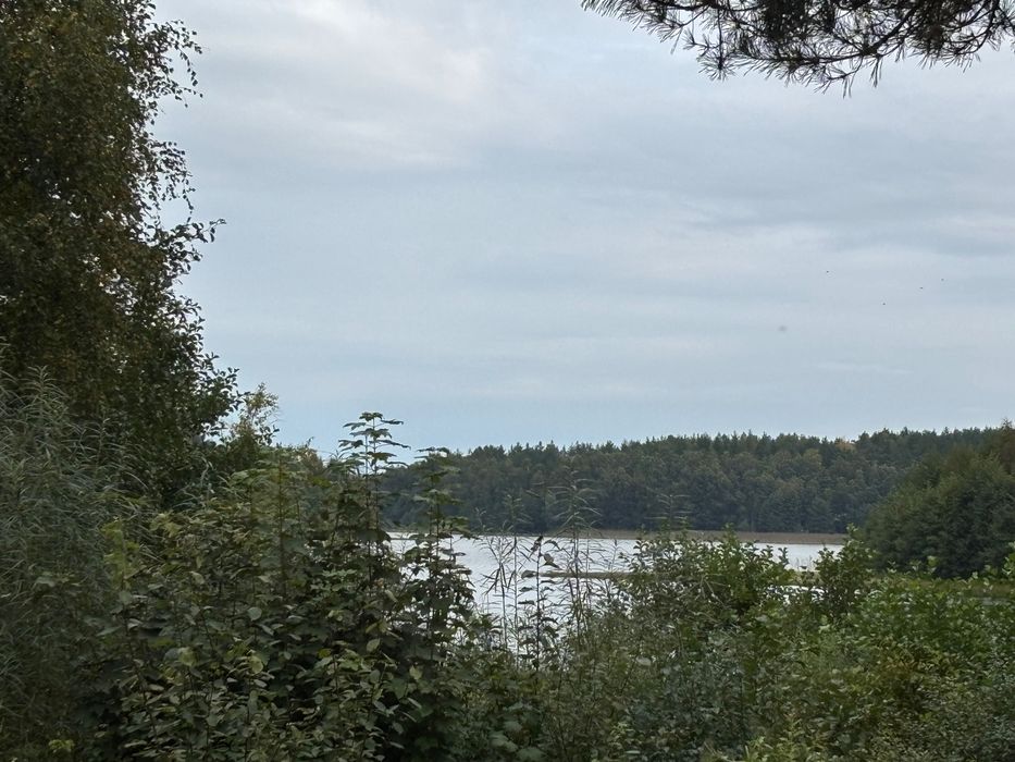 Wydzierżawię działkę