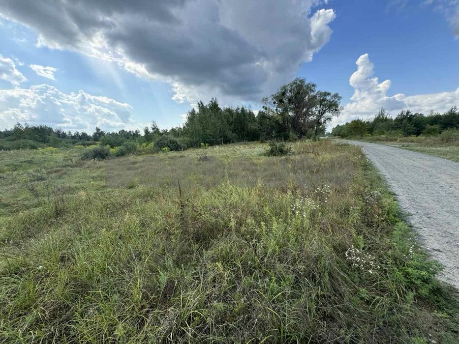 Продаж ділянки ОСГ 1,68 га селище Загальці Бучанського району