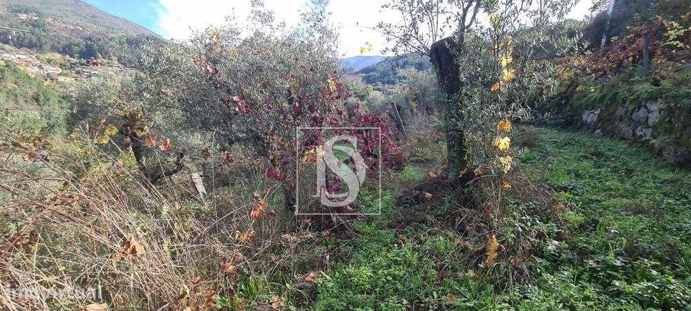 Terreno  Venda em Candemil,Amarante