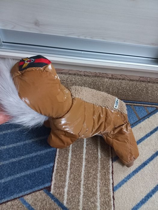 Продам зимовий комбінезон для маленької собачки.