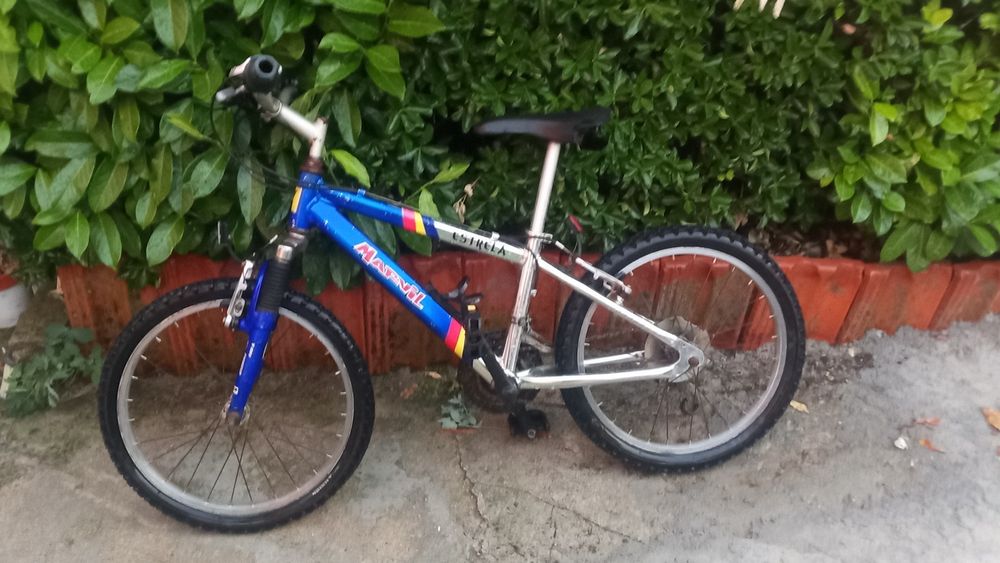 Bicicletas para adultos, adolescentes e crianças