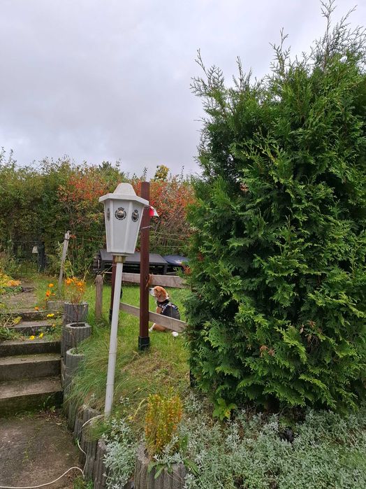 Lampy na zewnątrz do ogrodu na działkę