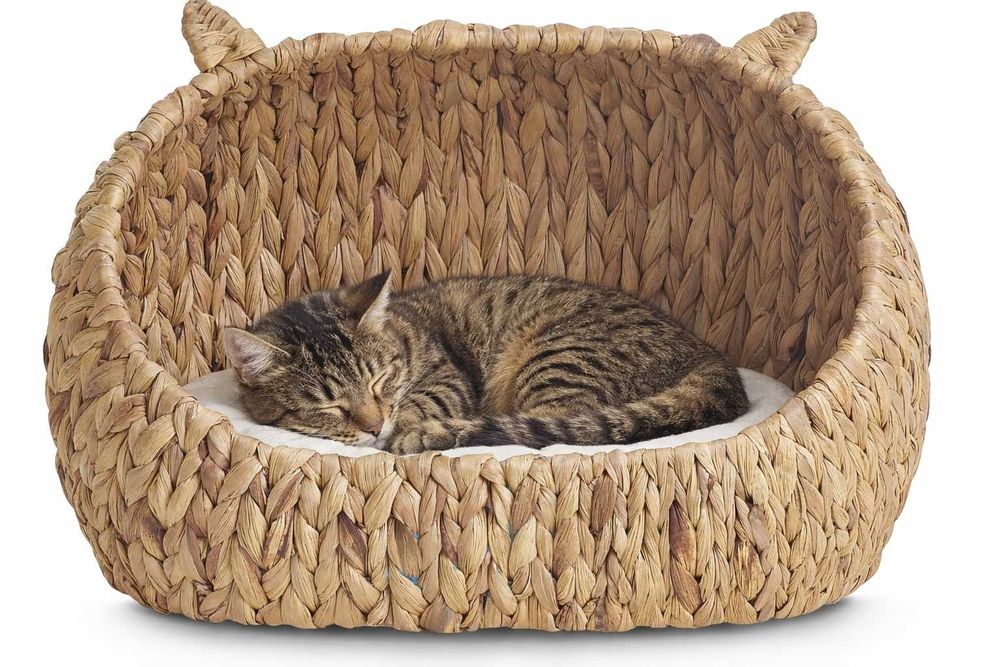 Legowisko Posłanie z Uszkami wyjmowana poduszka dla zwierząt Psa Kota