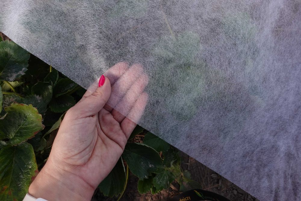 Agrowłóknina 23g POL włóknina okrycie na ziemniaki truskawki ogórki WB