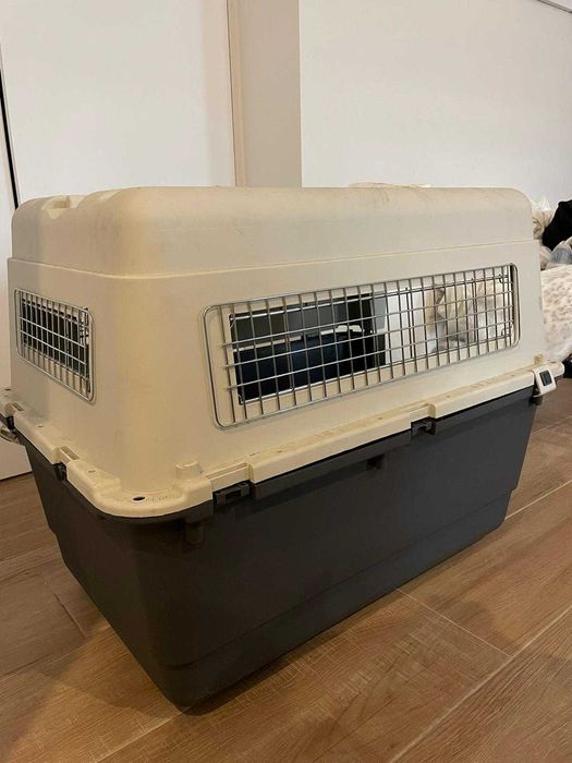 Caixa para Transporte de Animais IATA Tam G