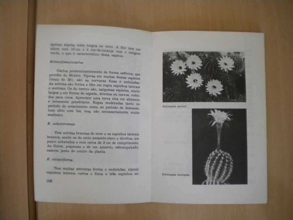 Cactos
de J. Nilaus Jensen