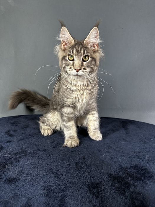 Дівчинка блакитний мармур