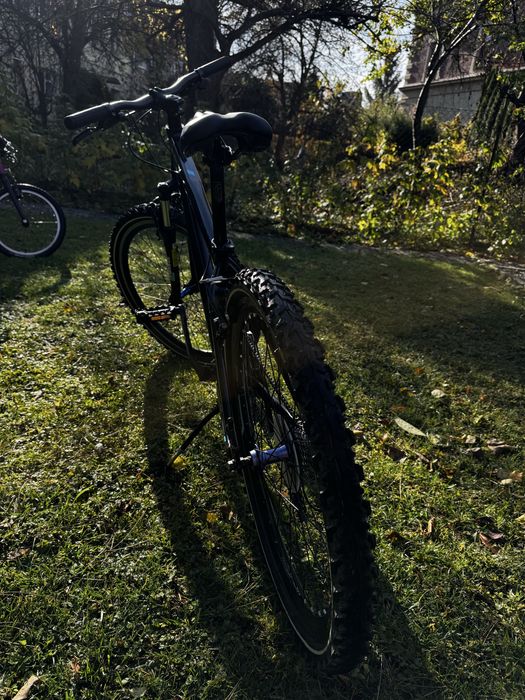 Rower Kands Monster