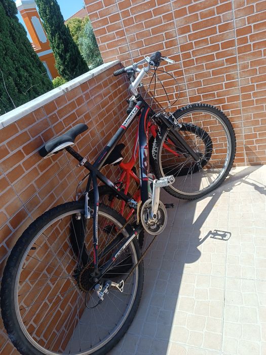 Bicicleta de adulto