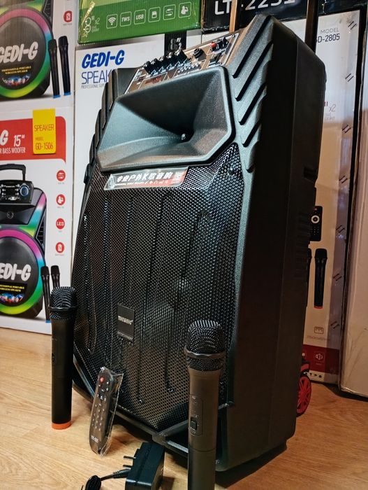 Караоке акустика Temeisheng-A15(Bluetooth,SD,USB,FM)пультДУ,2микрофона