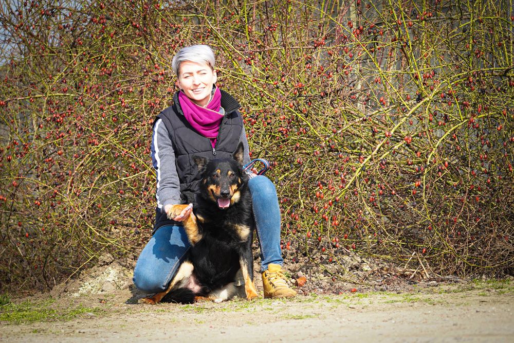 Evans przesympatyczny psiak