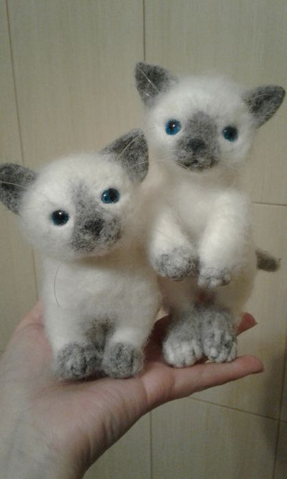 Сіамські кошенята валяні