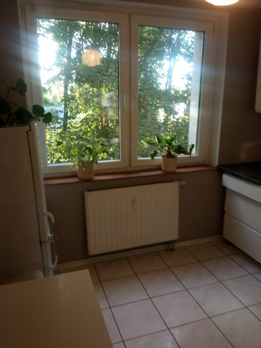 Mieszkanie – Legnica, Przedmieście Głogowskie - Więcej
