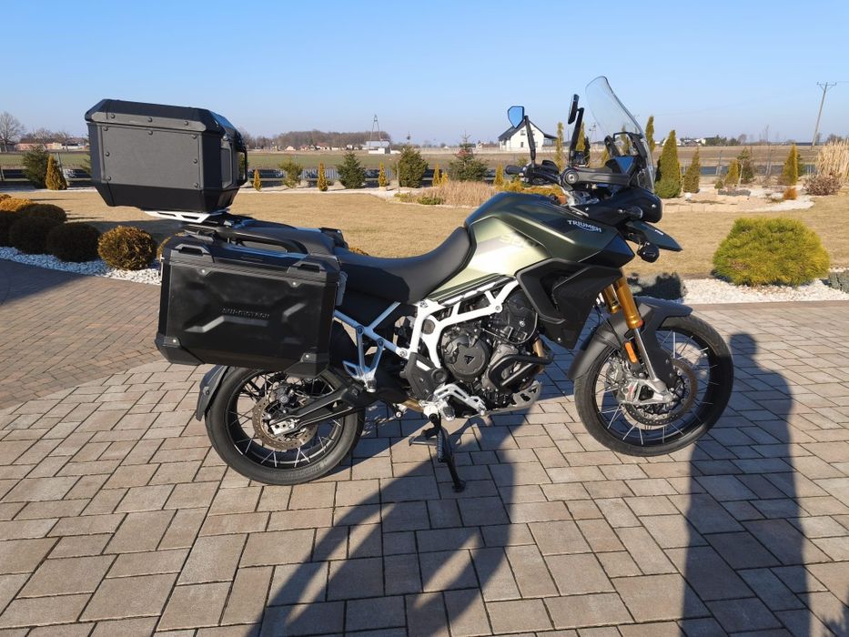 Tiger Triumph 900