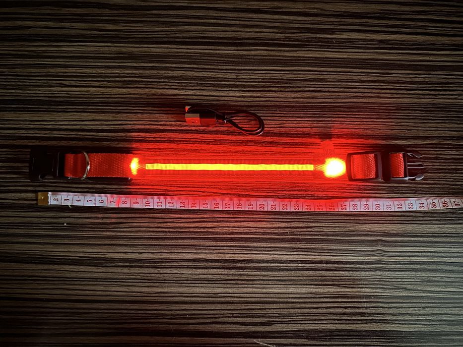 Нашийник для собак LED з підсвічуванням