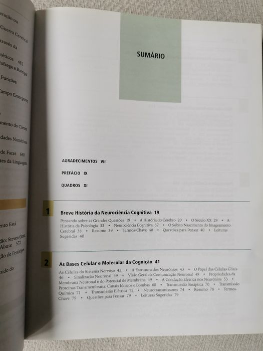 Neurociência Cognitiva