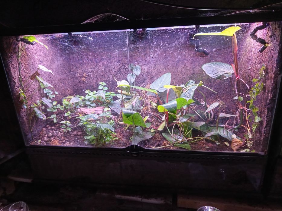 Terrarium exoterra 60x90x45