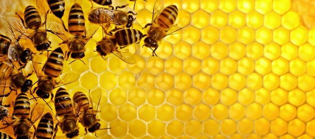 Продам улья деревянные