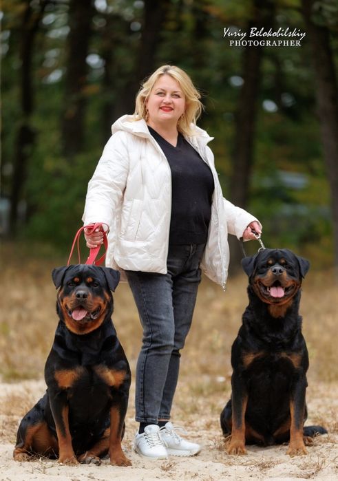 Kennel Iz Vom Haus Honda Fortuna.