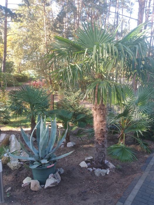 Apartament nad jeziorem Brenno "OLIWIO'" CAŁOROCZNY