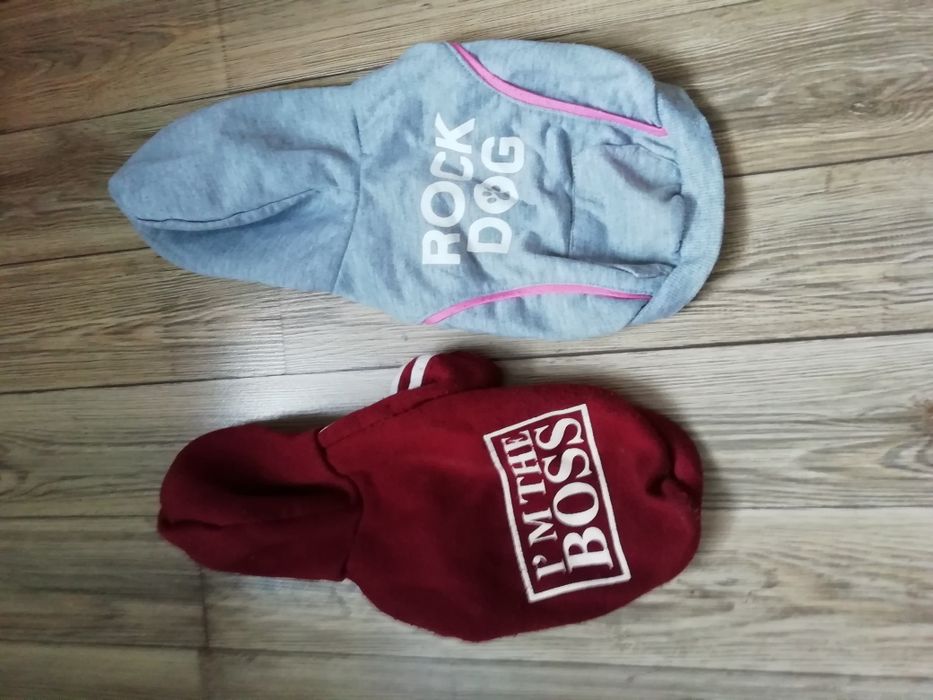 Bluzy dla pieska
