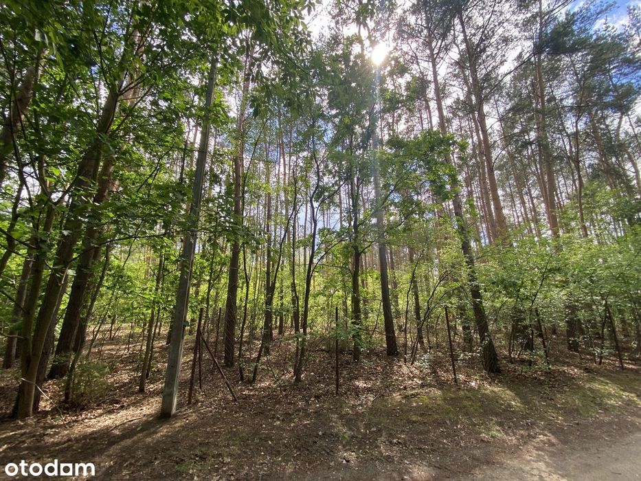 Działka 1500 m² pod zabudowę jednorodzinną w Legionowie.