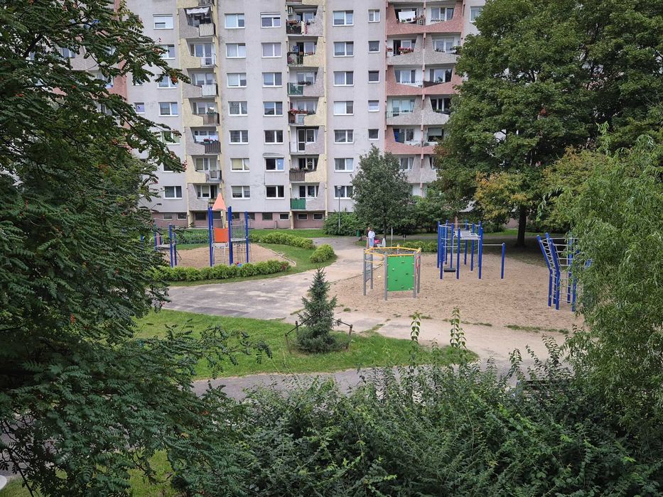 Zdjęcie 6