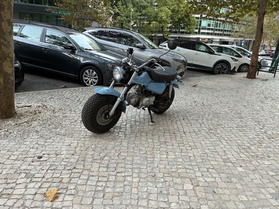 Skyteam Trex 125